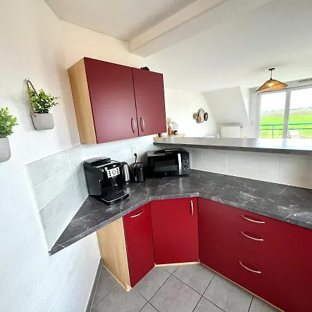 Lägenhet Le Belle Vue A Horbourg-whir Horbourg