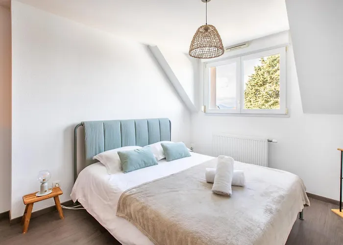Le Belle Vue A Horbourg-whir דירה Horbourg